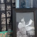 올디스(OLDIES) 이미지