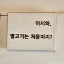 초밥연구소 | 제주도 제주시 말고기 샤브샤브 마제소바 말고기 초밥까지 말고기연구소 재방문 후기