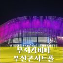 시민사회단체부설 | [부산 클래식] 부산 콘서트홀 무지카 비바 공연 후기 선율이 춤추는 봄밤