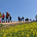 청산도느림보마을 이미지