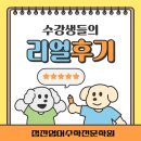 신흥여자중학교 | 인천 중구 정진영어수학전문학원 중고등부 수강생 리얼후기 !!