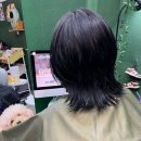 단다두리헤어 이미지