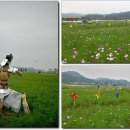 구드래관광지 이미지