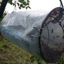 실상농장 이미지