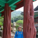 신어산 갓바위능선-수안마을 수국축제/김해시-1 이미지