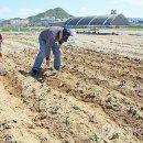 상선농장 이미지