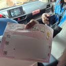 돌고래바나나노래연습장 | 보홀 호핑투어 내돈내산 : 발리카삭 +나팔링 투어 솔직후기