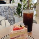 지젤의원 | 고등학생 치과 교정 후기