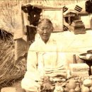 순천-28호 이미지