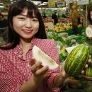 파파야모텔 이미지