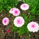 회기어린이집 이미지