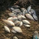 춘추모텔 이미지