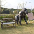 페스콤방역 이미지