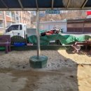 태장초등학교 병설유치원 이미지