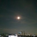 신내동-023 네이버블로그