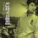 중앙로 일원 | 여행 뚜벅이 2일차 / 보문호수 피크닉 포토존, 솔거미술관, 경주타워, 대릉원일원, 도미, 첨성대, 월정교