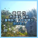 전라남도 장성 축령산 등산 최단코스 블랙야크 100대 명산 후기