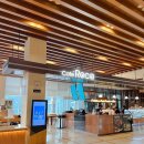 로카와 델피노1 이미지