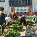 무등어린이집 이미지