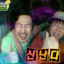 조이그린 이미지