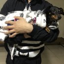 이용철동물병원 이미지