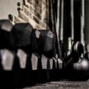 복싱번짐 이미지