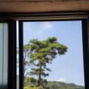 재래한증막 | [월곶 김포재래식한증막] 김포 재래식 찜질방 사우나 불가마 한증막 (+삼겹살)