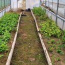 이쁜농장 이미지