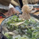 산성대로 | [성남] 쭈꾸미샤브샤브 알쭈꾸미 은행동 제철 맛집 “백합식당” 내돈내산 후기