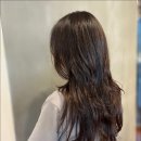 시티미용실 - 중구 | 시티미용실