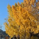 김부자댁 둘째딸 이미지