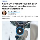 경보사슴 이미지