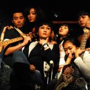 행정용 6 이미지