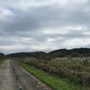 공릉천자전거도로변 이미지