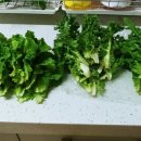 연준농장 이미지