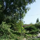 삼죽축구장 이미지