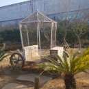 제주하도바당 이미지