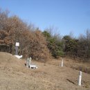 임원준 선생묘 이미지