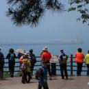 구덕산책로 숲길 이미지