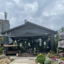 탕정면 탕정로 이미지