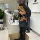 동물병원 다움 이미지