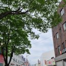 큰장길 침구류 명물거리 이미지