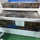 세종수산 이미지