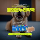 역삼동물약국 이미지