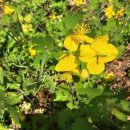 동촌2리경로당 이미지