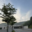 미쁨한상 | 파주 골프장 - 스마트 KU cc 파빌리온 6월 라운딩 후기 및 시설 코스 소개(미쁨 혼솔)