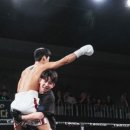 잽주다복싱클럽(복싱은잽주다) 이미지