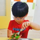 하기오스어학원 Daum카페