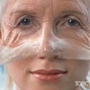 아테네 학당 이미지