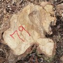 은평-079 이미지